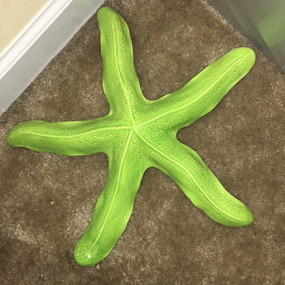Starfish Decoration